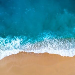 Meet your Posher, Ann e